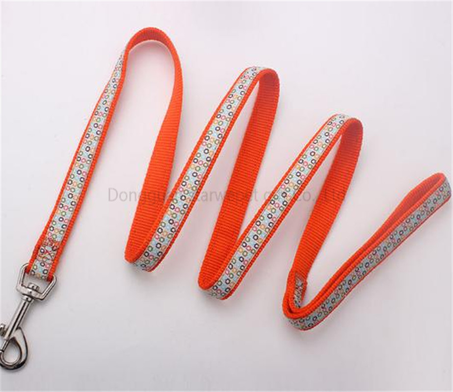 slip leash-10